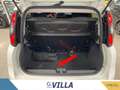Fiat Panda 1.0 firefly hybrid s&s 70cv 5p.ti Bianco - thumbnail 15