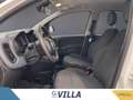Fiat Panda 1.0 firefly hybrid s&s 70cv 5p.ti Bianco - thumbnail 13
