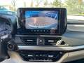Suzuki Swift Swift 1.2 Dualjet Hybrid MT Comfort+ Gelb - thumbnail 14