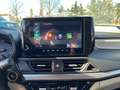 Suzuki Swift Swift 1.2 Dualjet Hybrid MT Comfort+ Gelb - thumbnail 17
