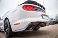 Ford Mustang 2,3 GT 500 SHELBY RECARO LCD PREMIUM VOL Blanc - thumbnail 17