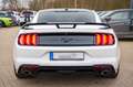 Ford Mustang 2,3 GT 500 SHELBY RECARO LCD PREMIUM VOL Blanc - thumbnail 16