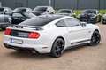 Ford Mustang 2,3 GT 500 SHELBY RECARO LCD PREMIUM VOL Blanc - thumbnail 14
