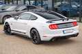 Ford Mustang 2,3 GT 500 SHELBY RECARO LCD PREMIUM VOL Blanc - thumbnail 15