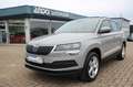Skoda Karoq 1.6 Ambition DAB/SHZ/PDC/Frontassist/1Hand Grau - thumbnail 2