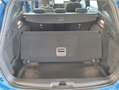 Ford Focus ST-Line X Break - 1.0i mHev 125cv - Immat avec 0km Blauw - thumbnail 8