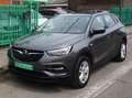 Opel Grandland X Grandland X 1.5 TD ECOTEC*BOITE AUTOMATIQUE* Grijs - thumbnail 18