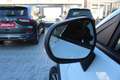 Ford Puma Puma 1.5 ecoblue Titanium X s Bianco - thumbnail 8