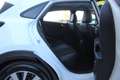 Ford Puma Puma 1.5 ecoblue Titanium X s Bianco - thumbnail 21