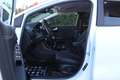 Ford Puma Puma 1.5 ecoblue Titanium X s Bianco - thumbnail 15