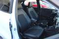 Ford Puma Puma 1.5 ecoblue Titanium X s Bianco - thumbnail 17