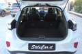 Ford Puma Puma 1.5 ecoblue Titanium X s Bianco - thumbnail 25
