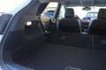 Ford Puma Puma 1.5 ecoblue Titanium X s Bianco - thumbnail 26