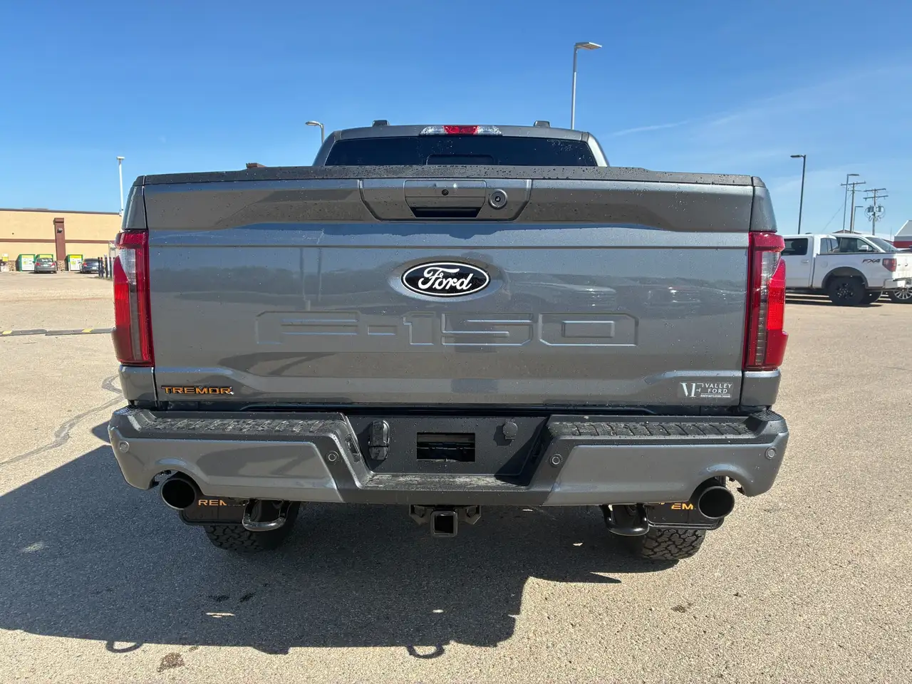 Ford F 150 снимка Ford F 150