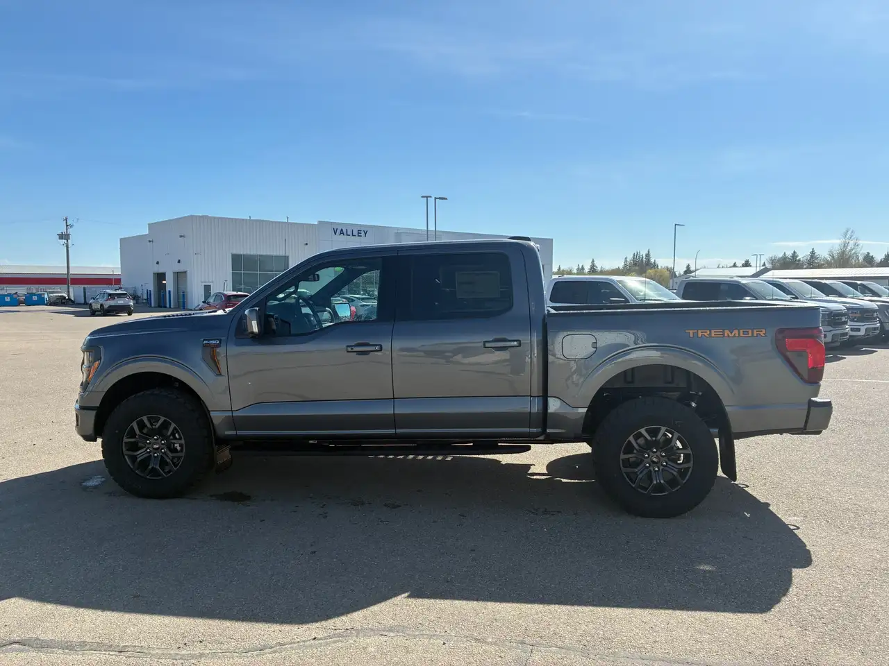 Ford F 150 снимка Ford F 150