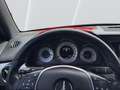 Mercedes-Benz GLK 220 CDI BlueEFFI Automatik, Xenon, AHK Nero - thumbnail 13
