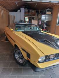 Mustang undefined
