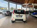 Fiat Panda Panda III 2021 4x4 0.9 t.air t. Wild 4x4 s Bianco - thumbnail 7