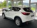 Mazda CX-5 CD175 AWD Revolution Top SD Aut. Weiß - thumbnail 7