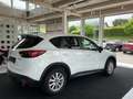 Mazda CX-5 CD175 AWD Revolution Top SD Aut. Weiß - thumbnail 5