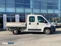 Fiat Ducato DOPPIA CABINA Bianco - thumbnail 2