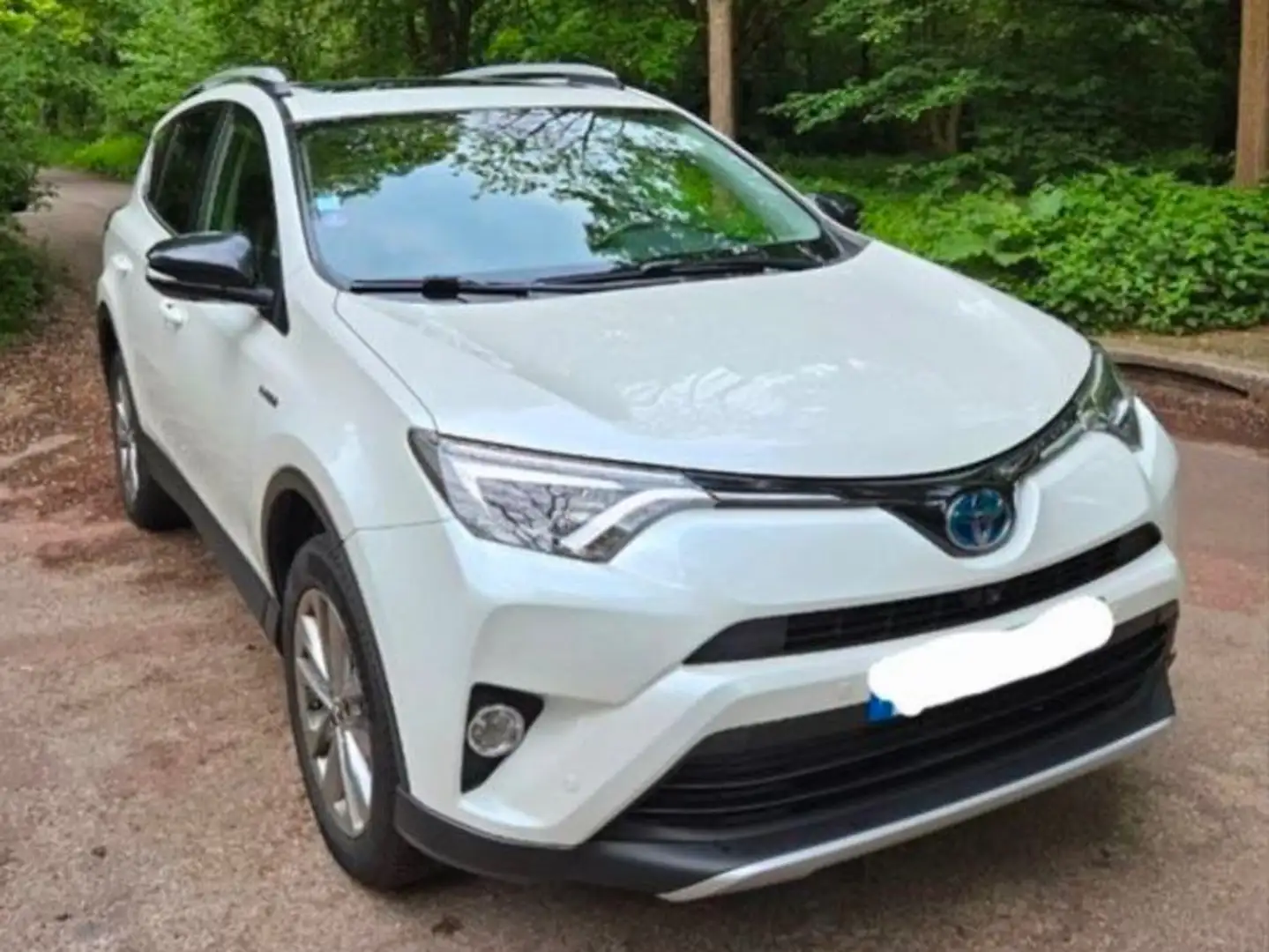 Toyota RAV 4 RAV4 Hybride 197ch 2WD Lounge Blanc - 1