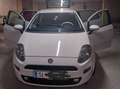 Fiat Punto Punto 1,2 Weiß - thumbnail 2