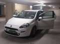 Fiat Punto Punto 1,2 Weiß - thumbnail 1