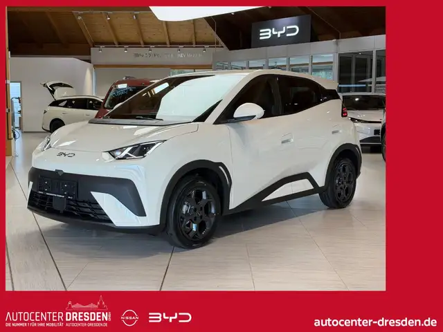 BYD Dolphin Surf Comfort 360° Navi SHZ Connectiv