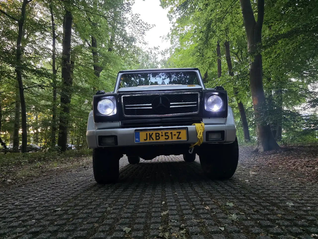 Mercedes-Benz G-Class G 300 1985