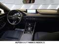 Mazda 3 5HB 2.5L 140ps 6AT FWD Homura ACC HUD Bluetooth Rot - thumbnail 8