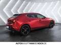 Mazda 3 5HB 2.5L 140ps 6AT FWD Homura ACC HUD Bluetooth Rot - thumbnail 4
