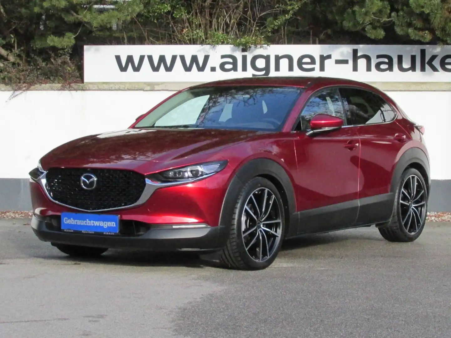 Mazda CX-30 X186 AWD GT+/SO/PR/TE/SD Aut. Rot - 1