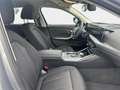 BMW 318 Grau - thumbnail 6