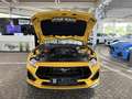 Ford Mustang 5.0 V8 GT  6gang + Ford Garantie 4 Jahre Gelb - thumbnail 50