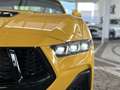 Ford Mustang 5.0 V8 GT  6gang + Ford Garantie 4 Jahre Gelb - thumbnail 27
