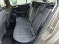 Ford Focus 1.5 TDCi 120 CV Start&Stop ST Line Marrone - thumbnail 14