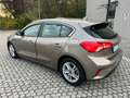 Ford Focus 1.5 TDCi 120 CV Start&Stop ST Line Marrone - thumbnail 6