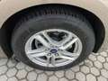 Ford Focus 1.5 TDCi 120 CV Start&Stop ST Line Marrone - thumbnail 13