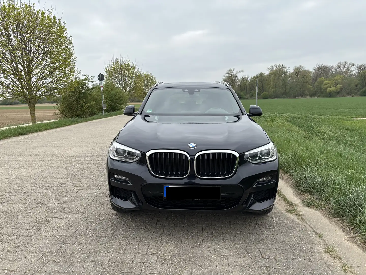 BMW X3 M xDrive30d Aut. Sport M, Pano, AHK, Vollleder Black - 2