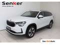 Skoda Kodiaq Selection TSI mHEV DSG Weiß - thumbnail 1