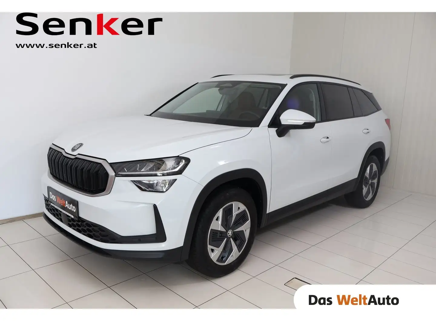 Skoda Kodiaq Selection TSI mHEV DSG Weiß - 1