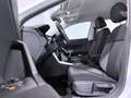 Volkswagen Polo 1.0 TSI Life 70kW Blanco - thumbnail 12