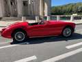 MG MGA Rouge - thumbnail 1