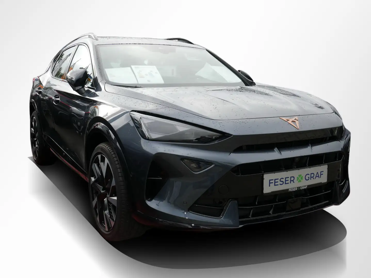 CUPRA Formentor 2.0 TSI VZ DSG 360° AHK Matrix Pano Grau - 2