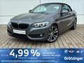 BMW 220 i Cabrio Sport Line Navi+AHK+PDC+SHZ+GRA+Lede Gris - thumbnail 1