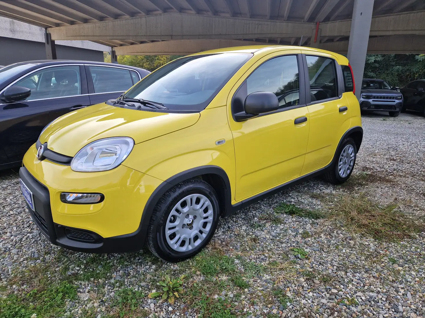 Fiat Panda Pandina 1.0 firefly hybrid s Jaune - 2