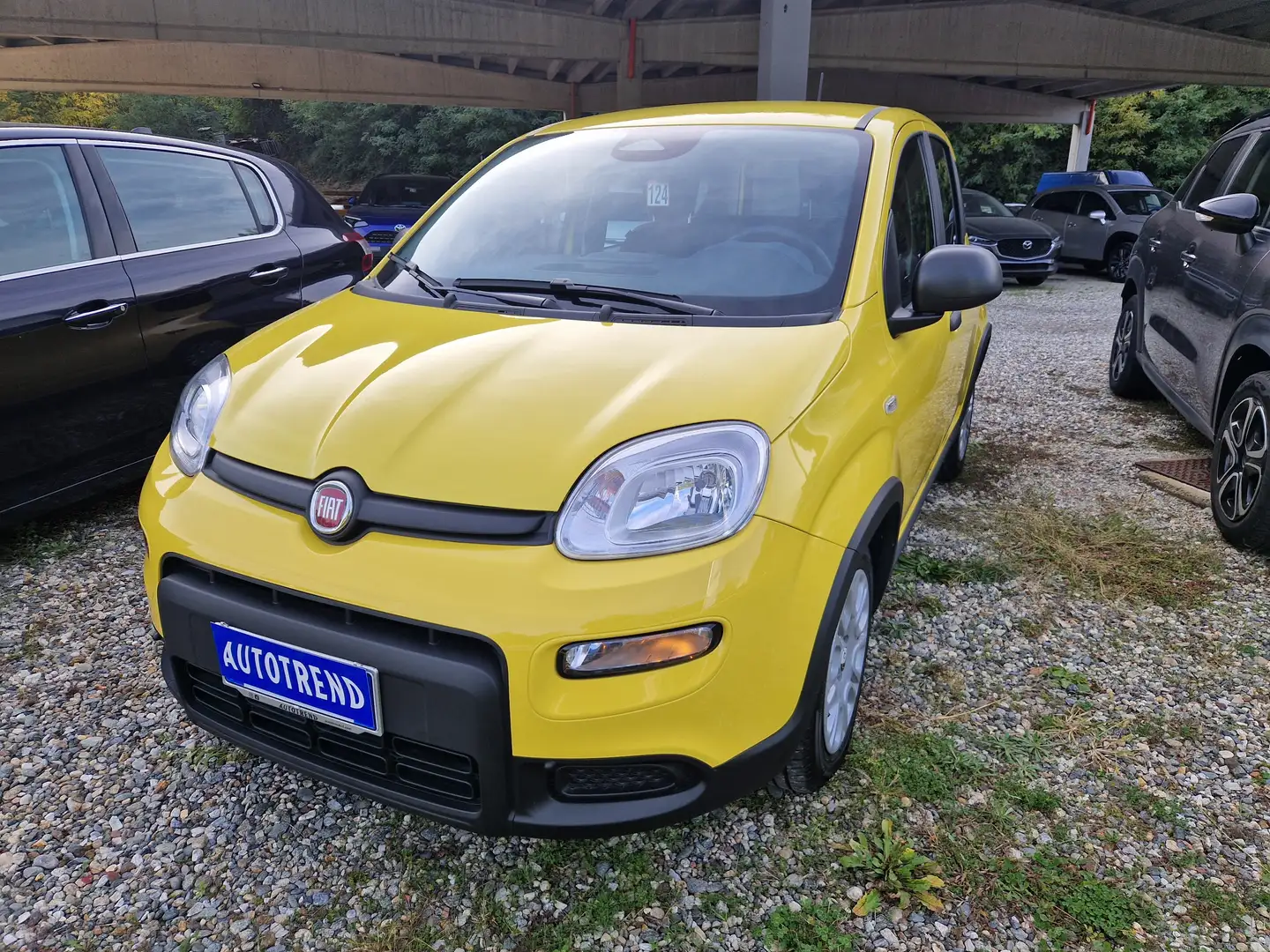 Fiat Panda Pandina 1.0 firefly hybrid s Jaune - 1