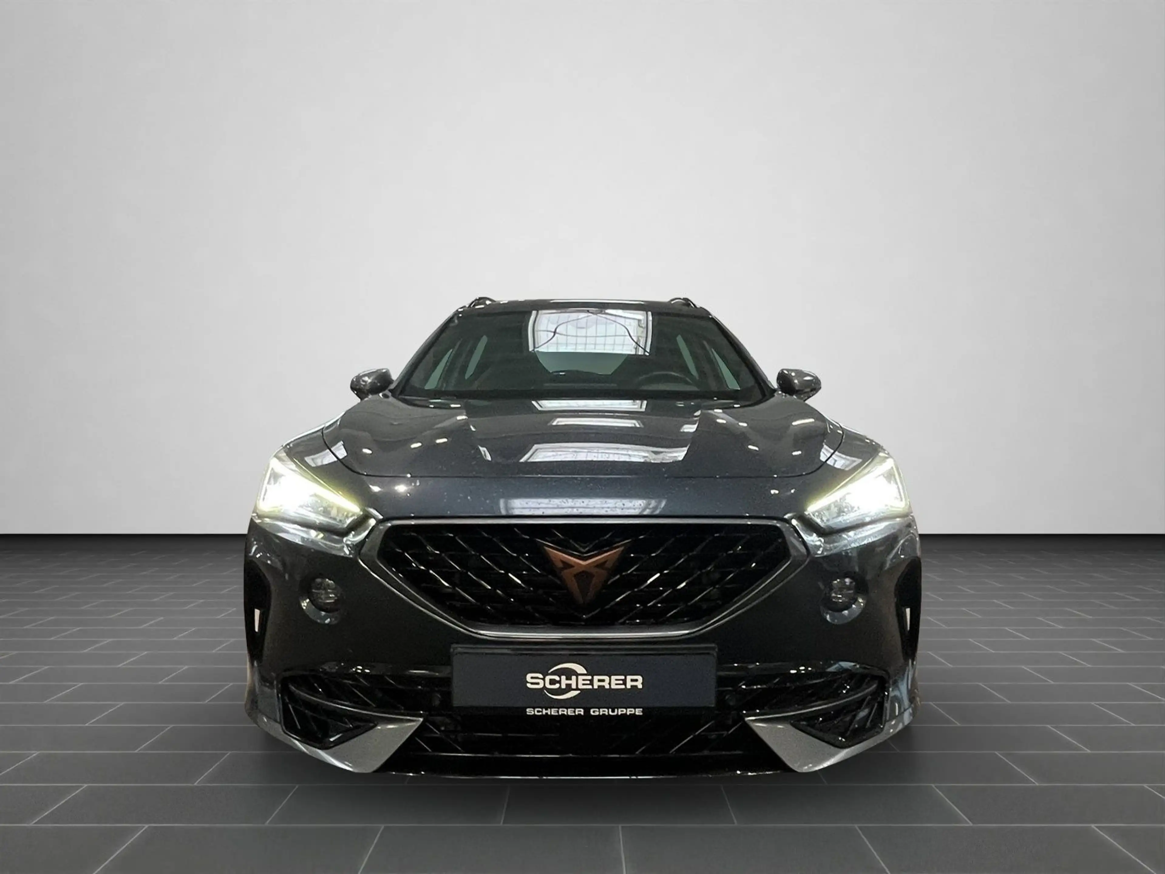 CUPRA Formentor VZ 2.0 TSI — photo 5