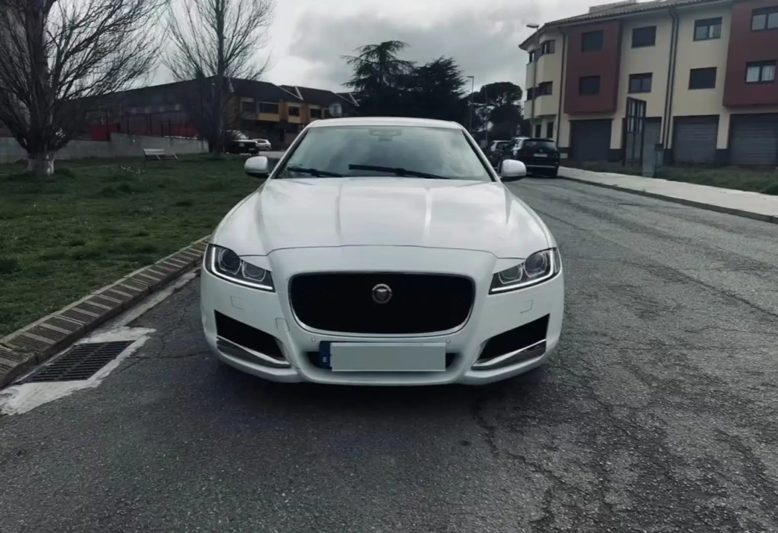 Jaguar XF 2.0i4D Portfolio Aut. 180 Blanco - 1